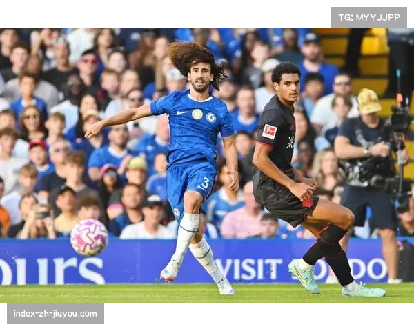 切尔西伤病次数达24次 拉维亚埃斯特旺康复进度缓慢